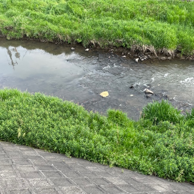 海洋ゴミ