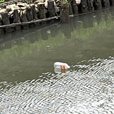 海洋ゴミ