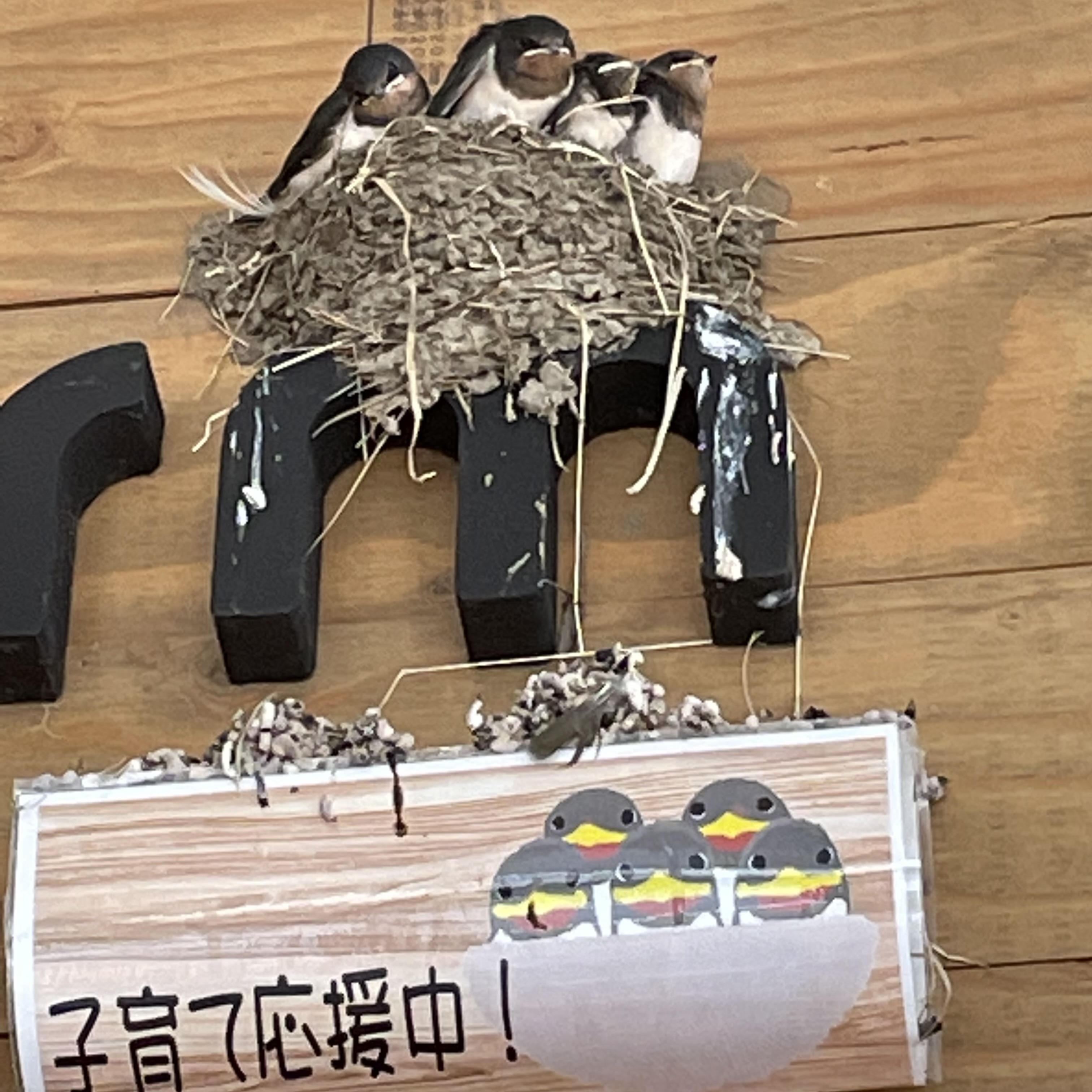 子育て応援中 (*^-^*)
