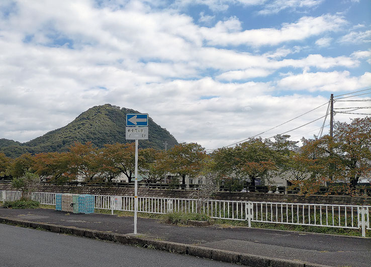 色づき始めました。