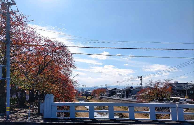 大山で初冠雪