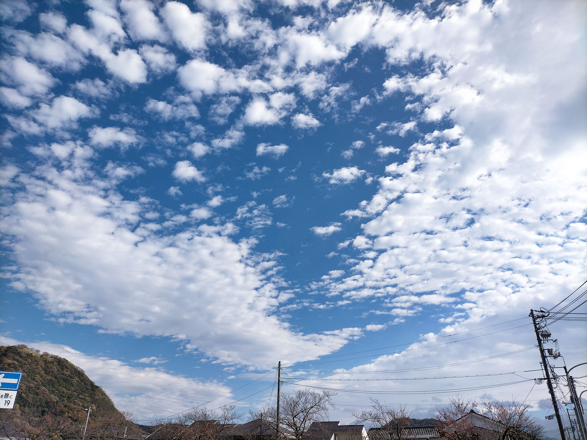 １１月に夏日。