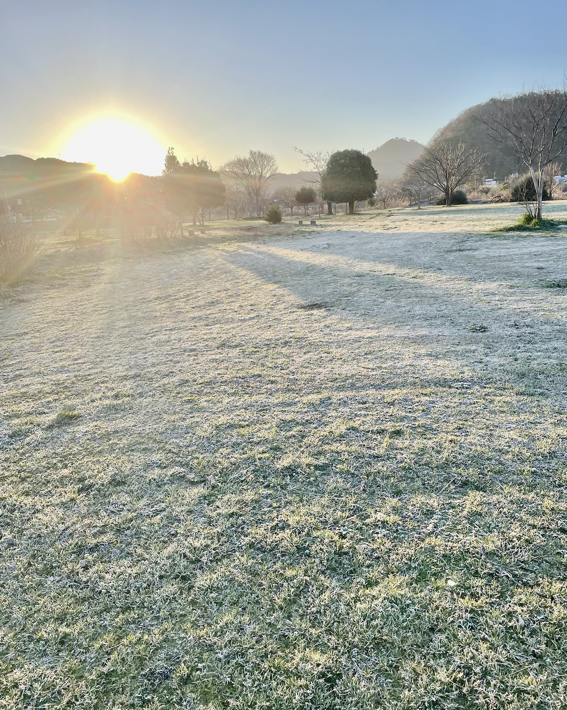 －1.2℃ の朝