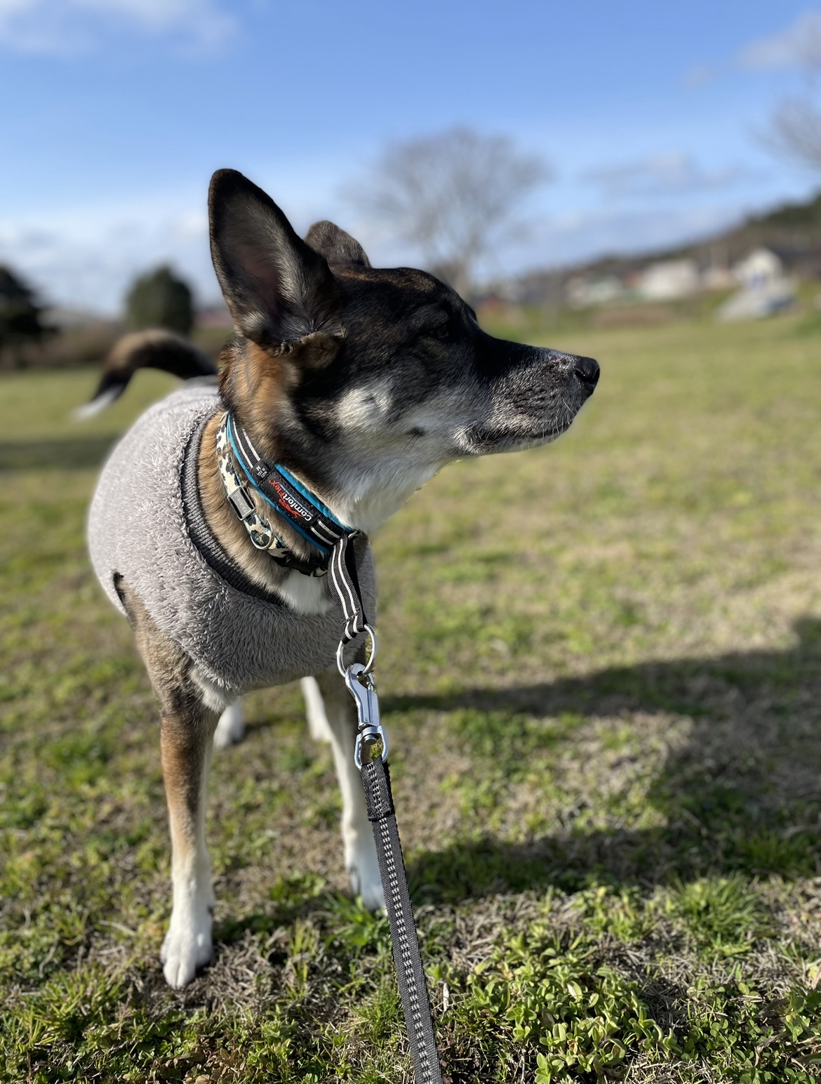 ３月です