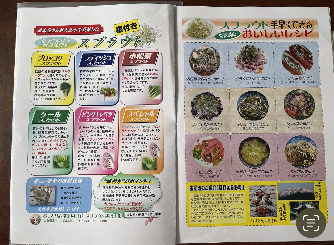 お菓子じゃない 生姜飴