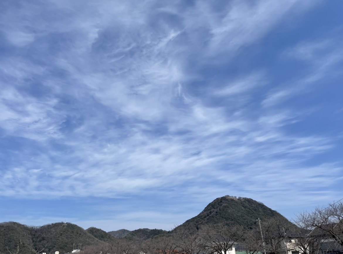 もう、13年