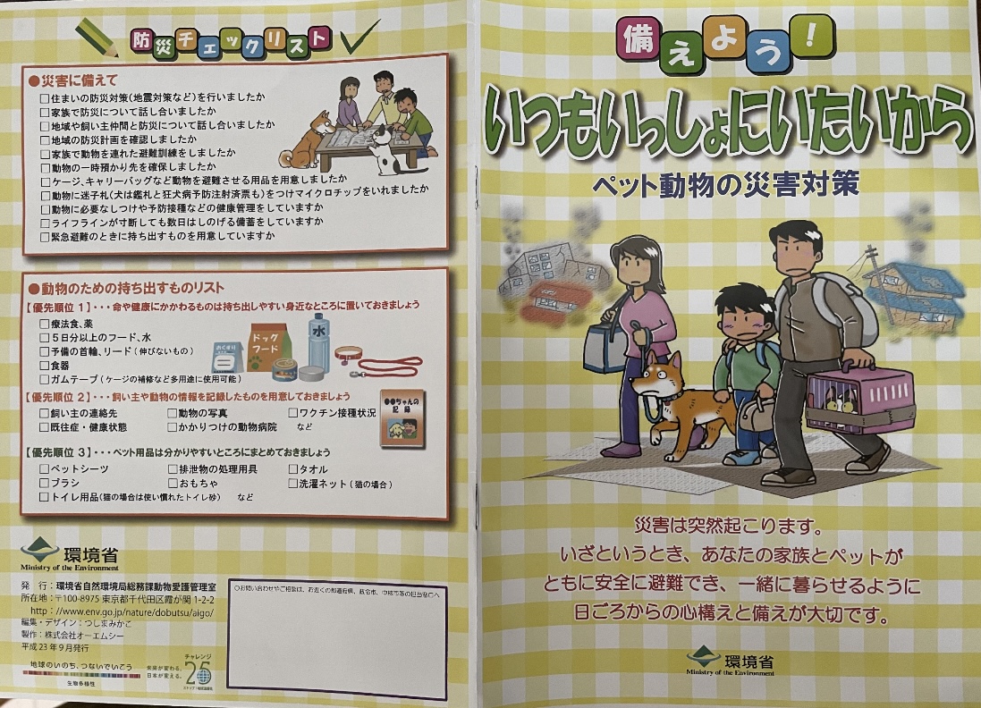もう、13年