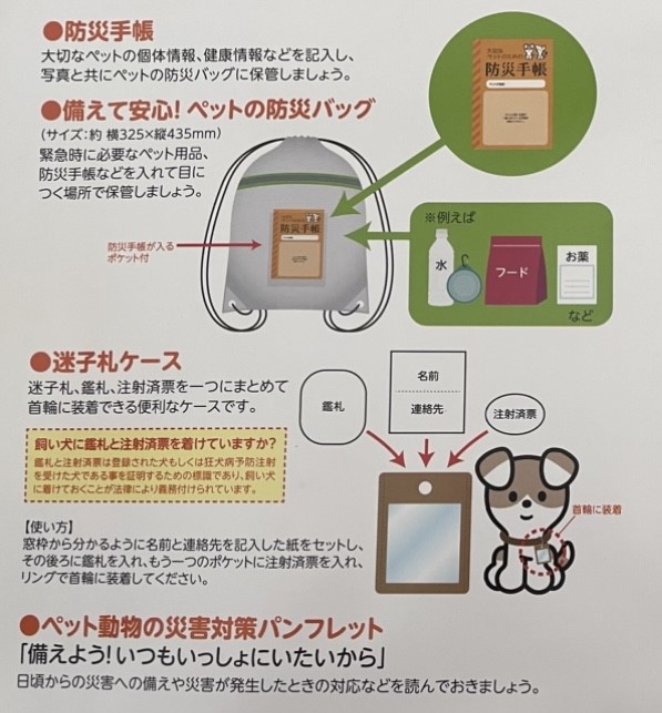 もう、13年