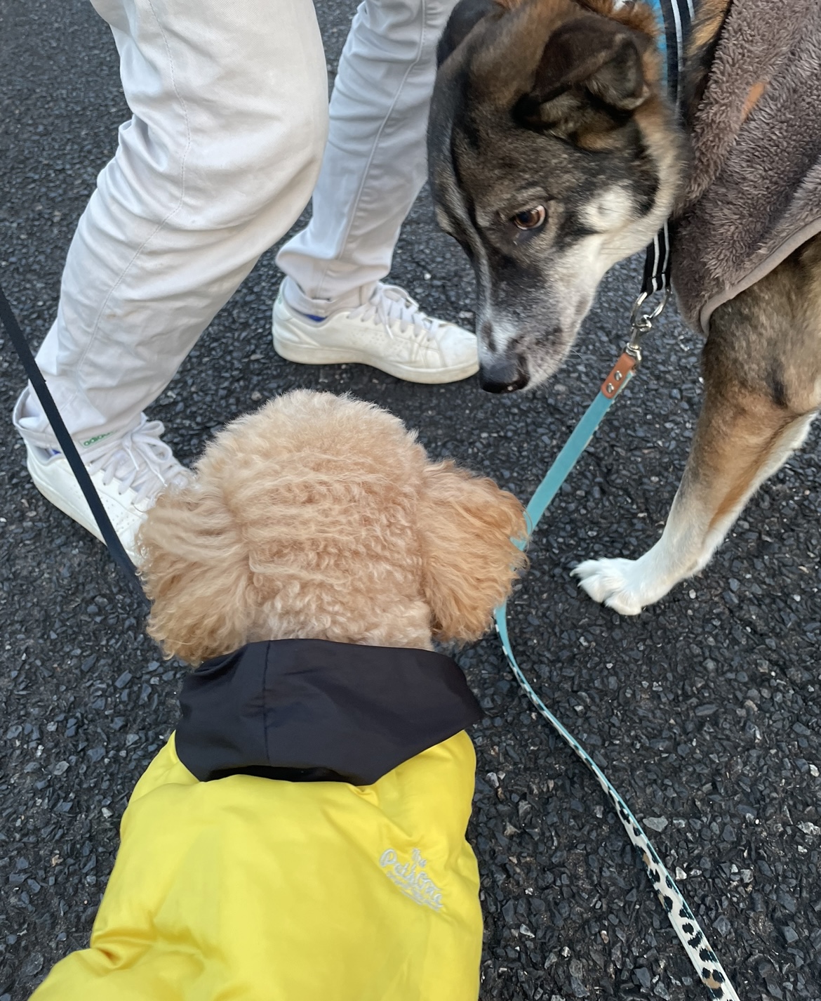 お父さんを独り占め(^^)