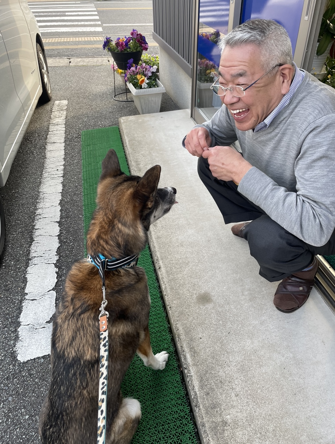 ワンコ立ち寄り所