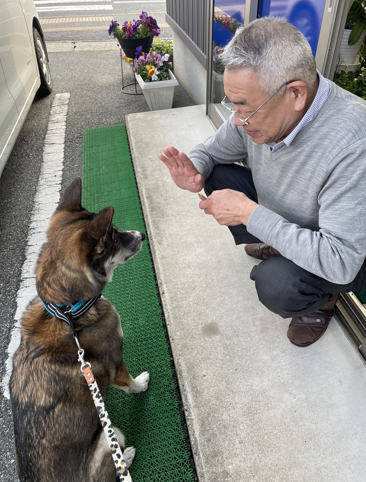 ワンコ立ち寄り所