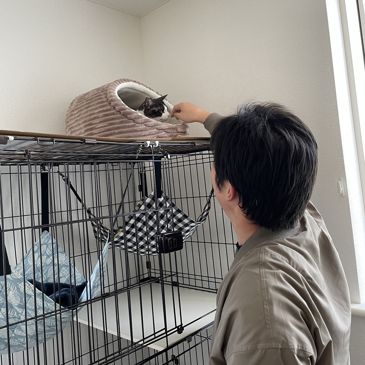 面会の日