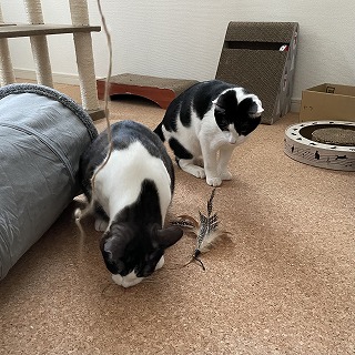 面会の日