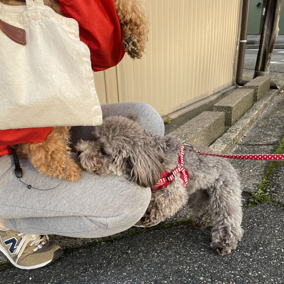 可愛さ無限大