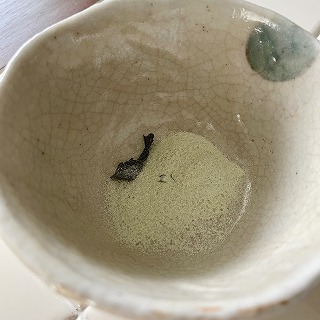 にゃんこんぶ茶