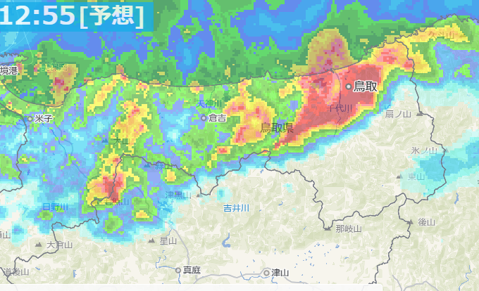 えらい降りと雷です💦
