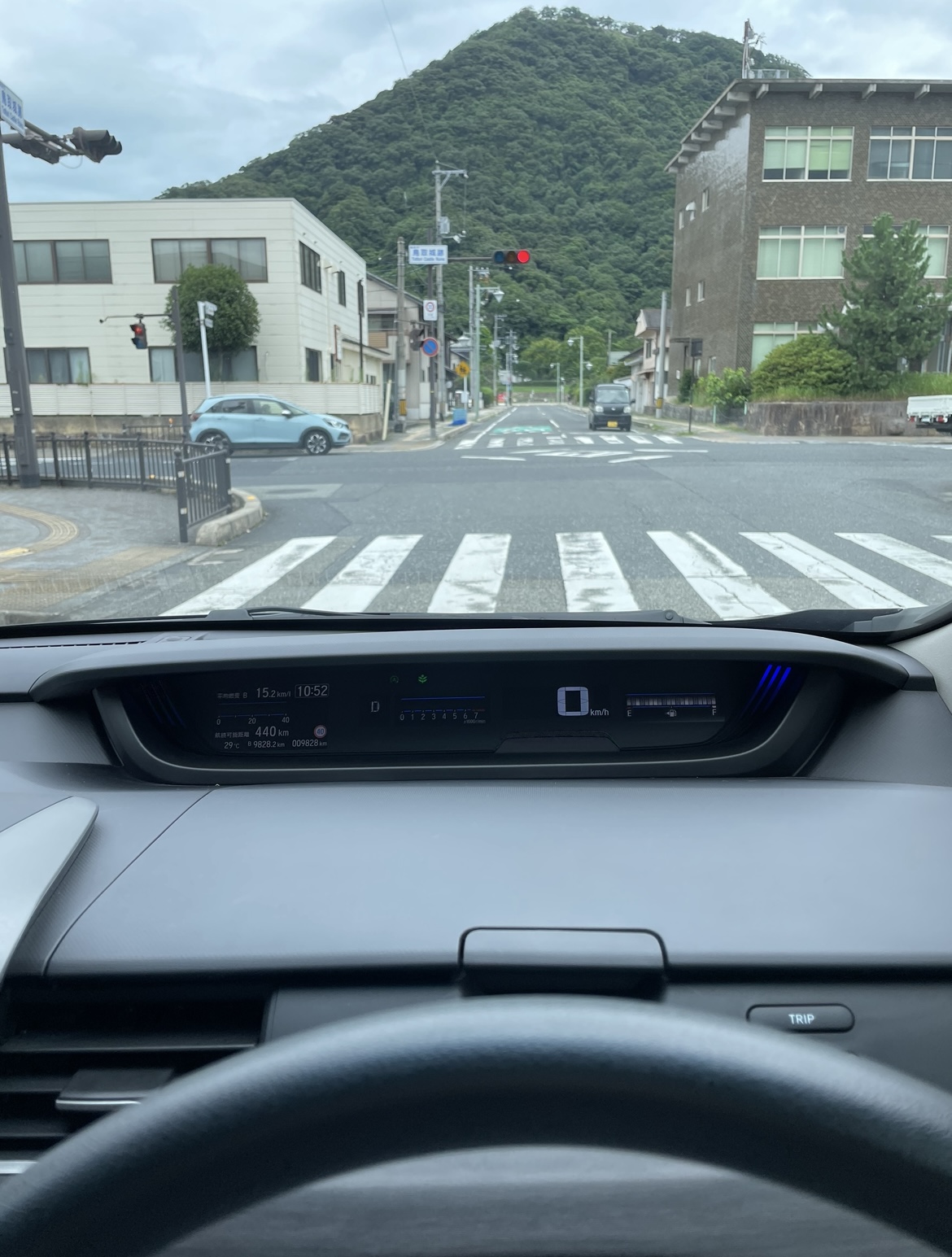 慣れない車