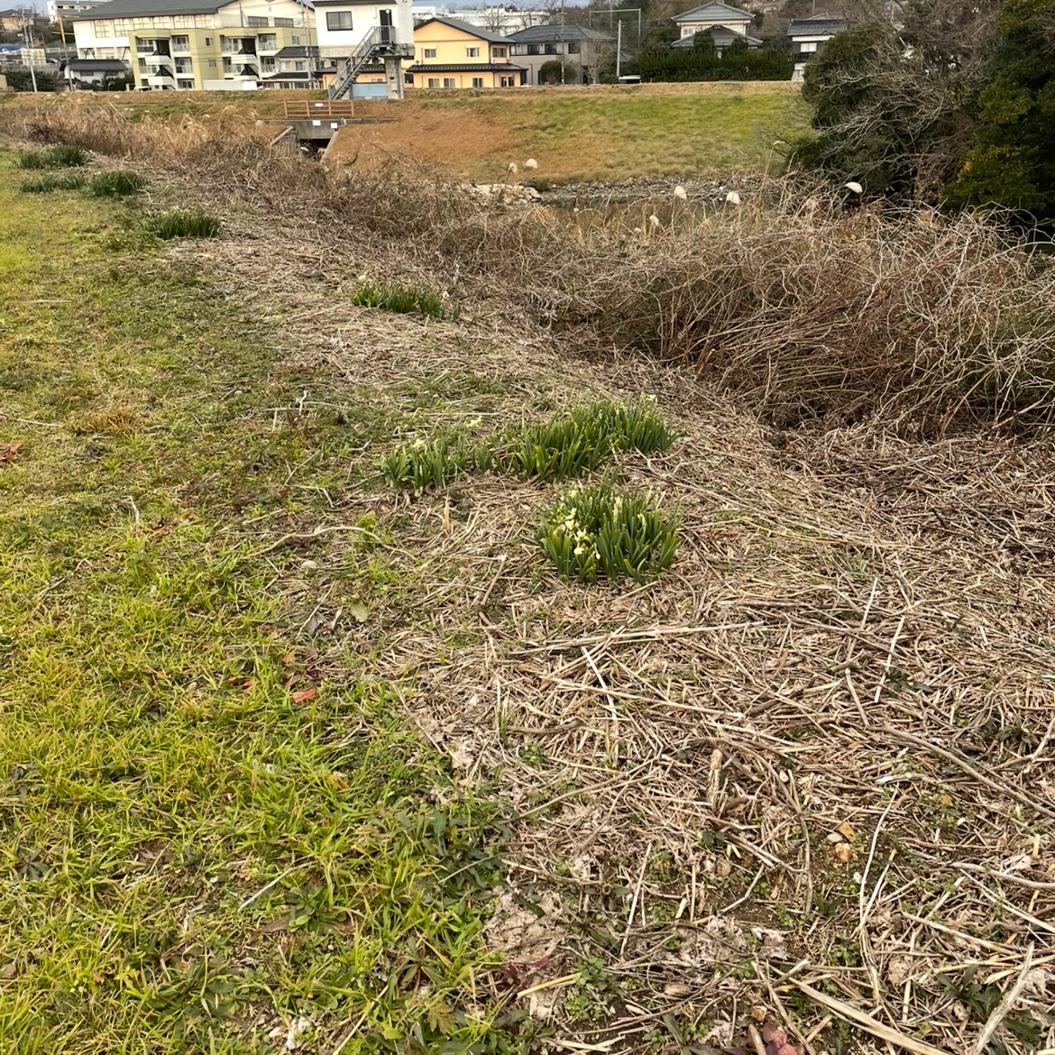 寒さに耐えて
