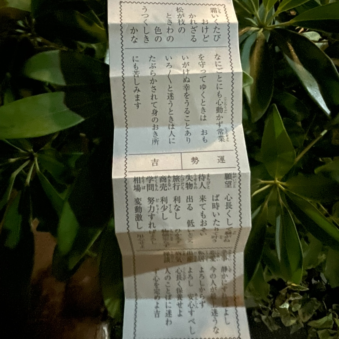 そういえば