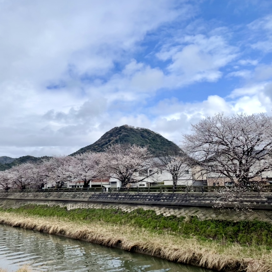 いつまでも寒い