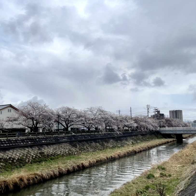 いつまでも寒い