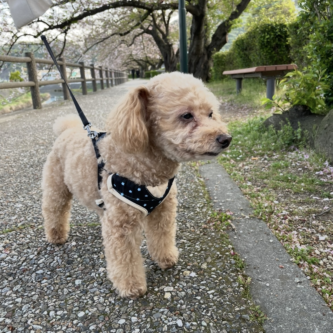 カメラ目線ください