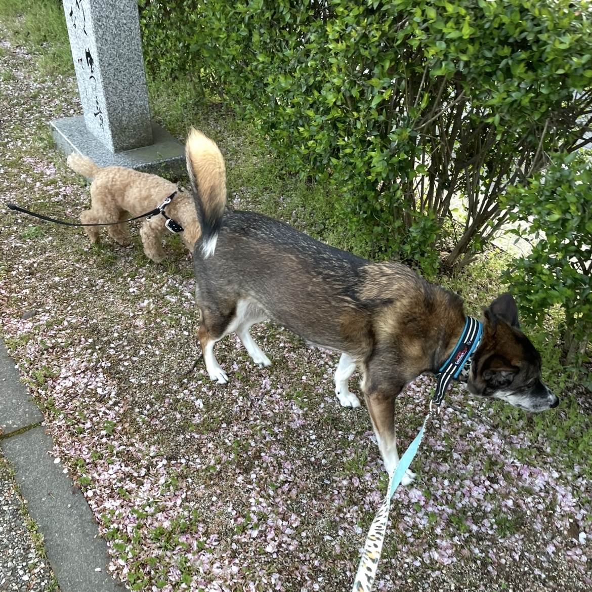 カメラ目線ください