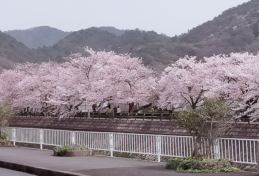 ４月の営業日について