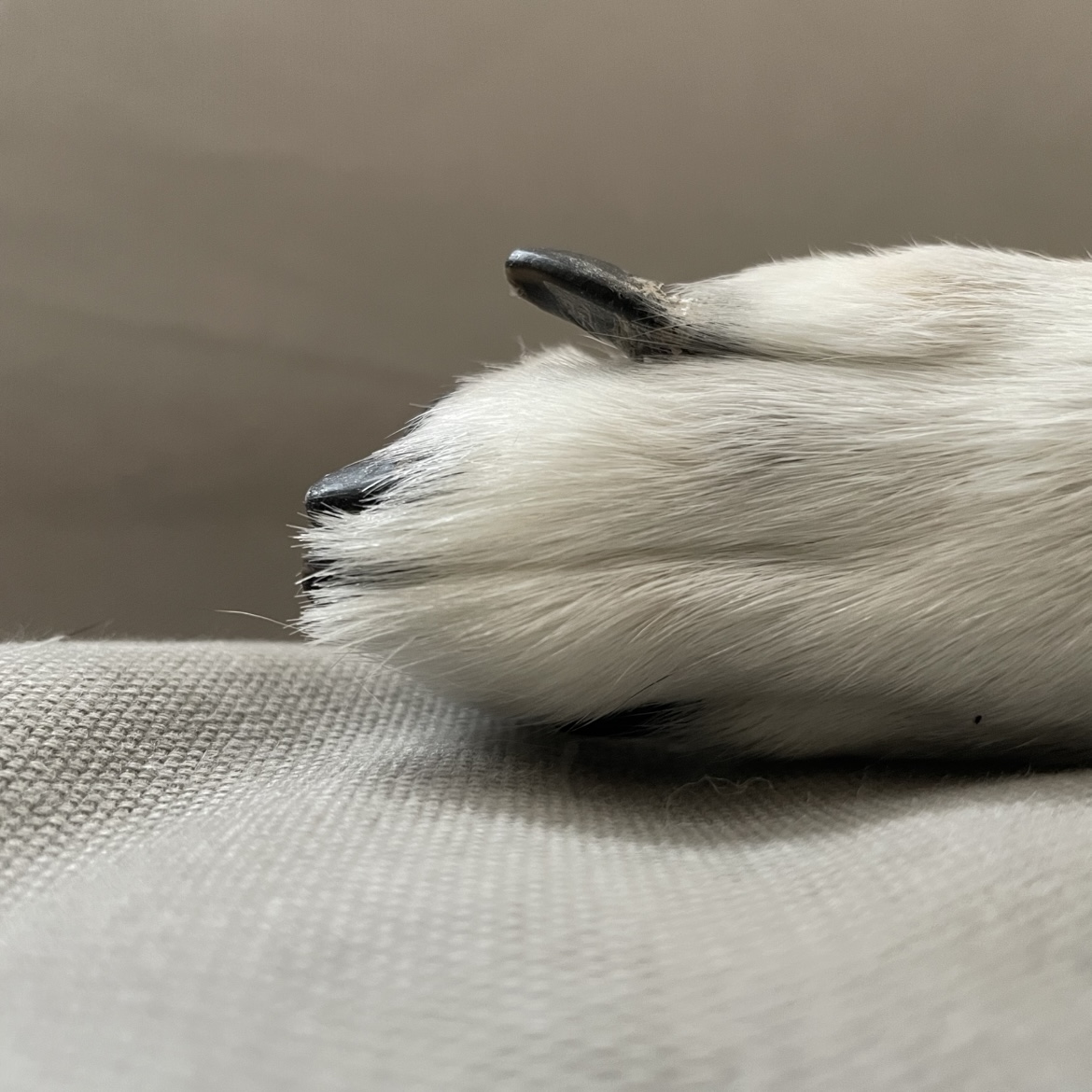 様子がおかしい…