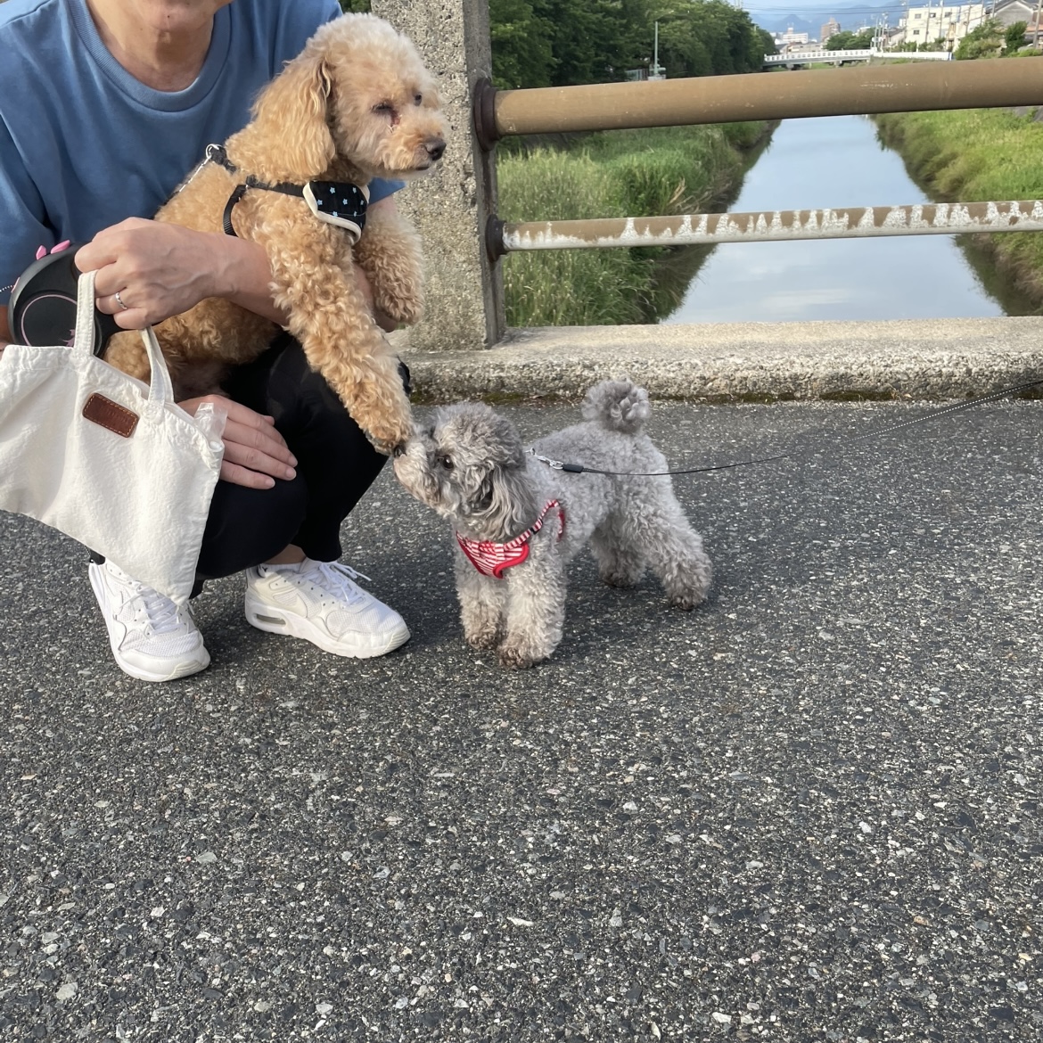 久々、サクラちゃん登場