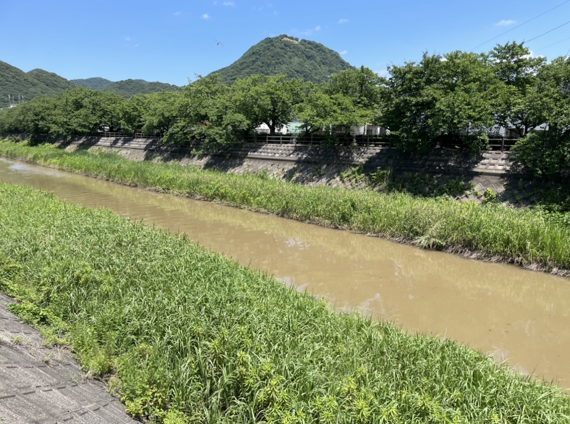 大雨の後