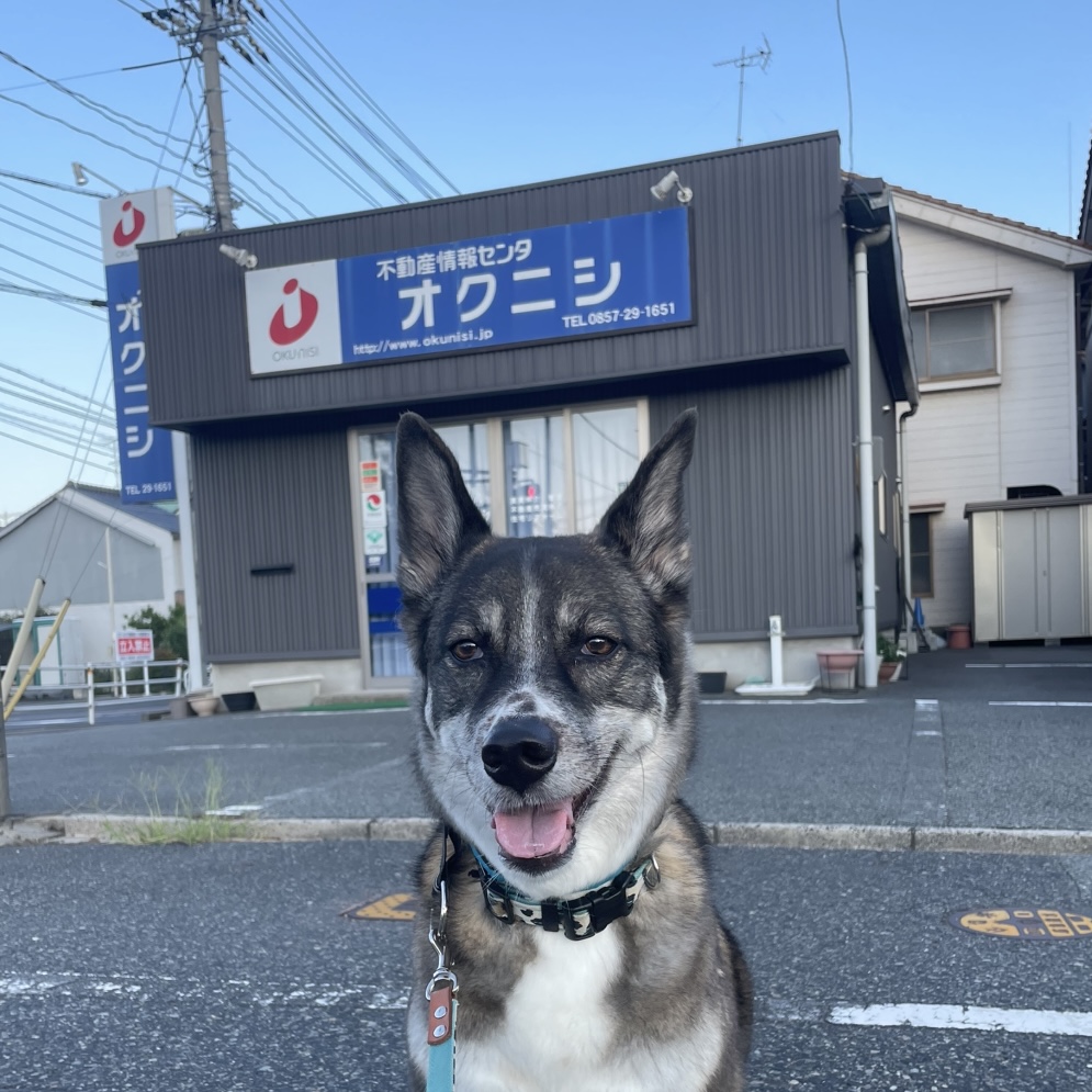 お互い12歳