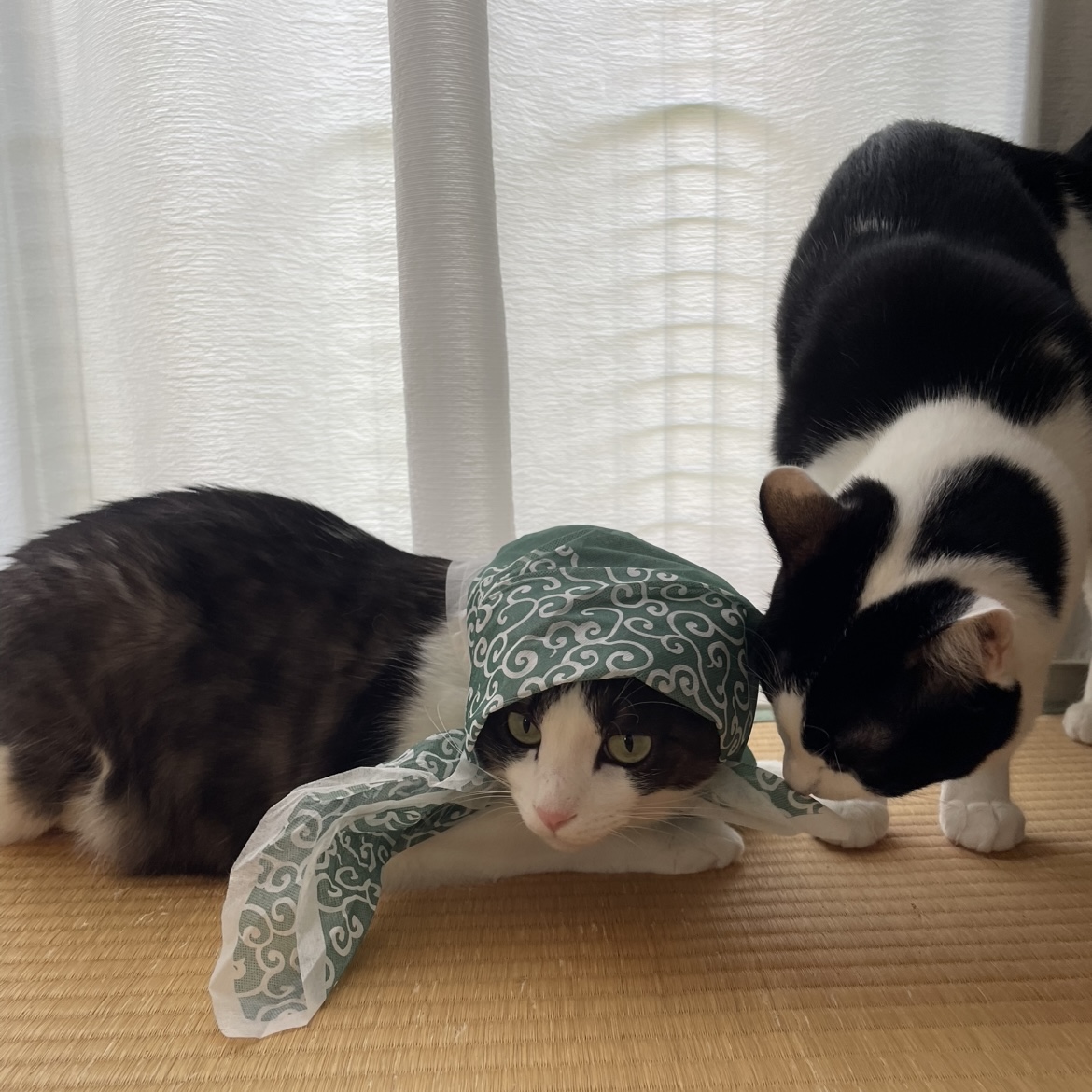 されるがまま