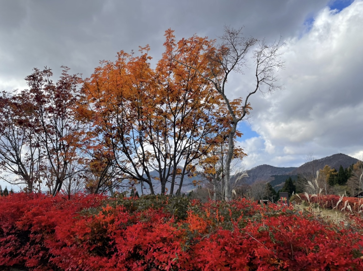 若桜へ