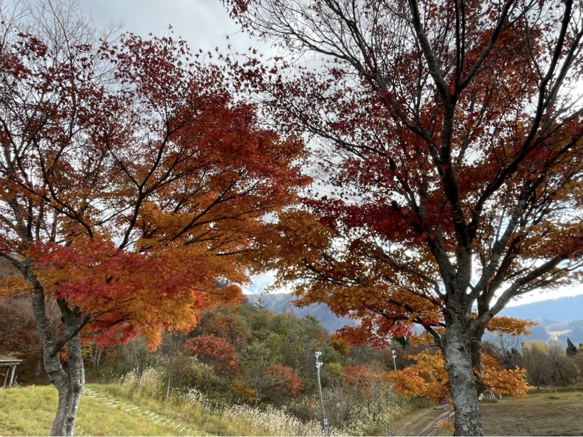 若桜へ