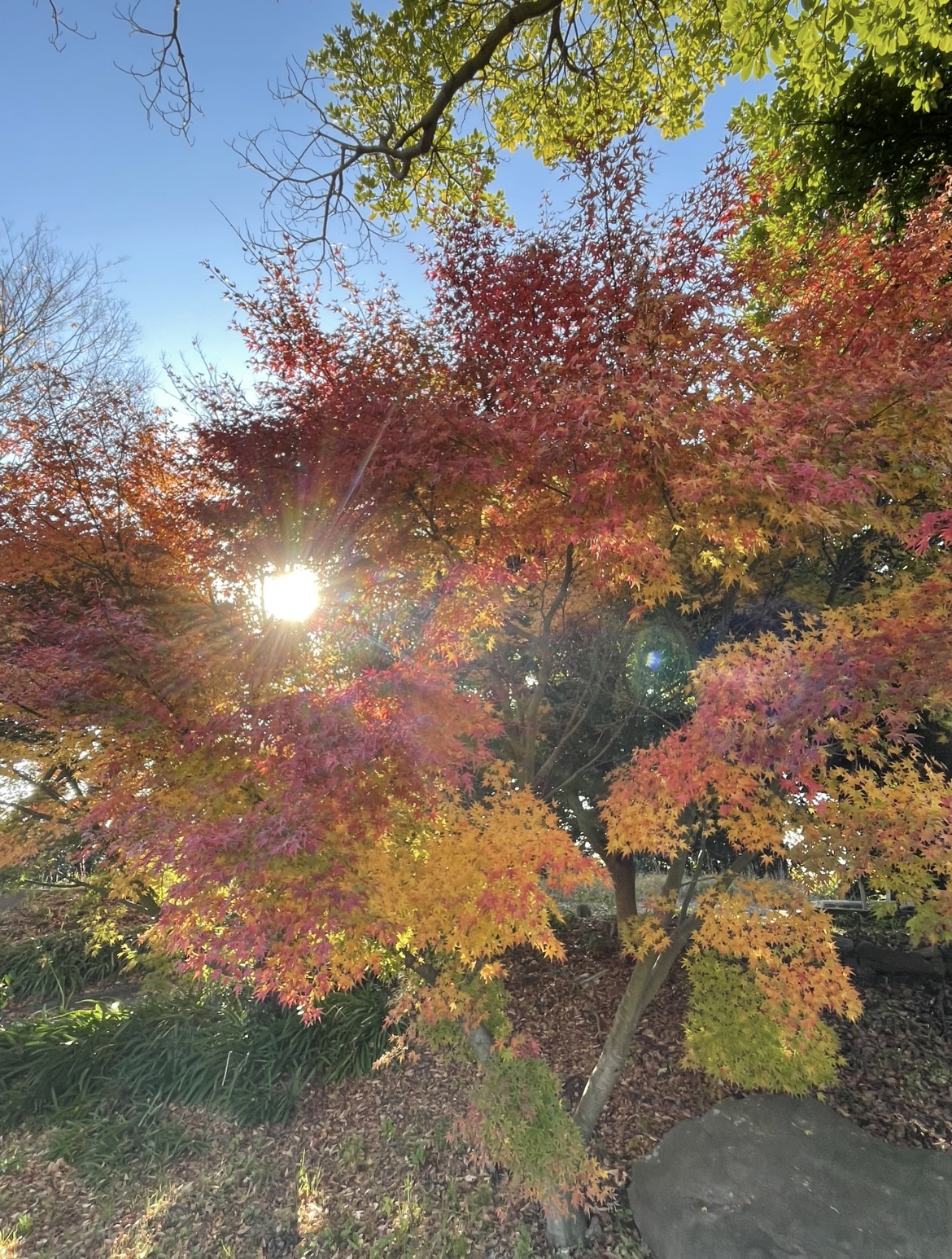 穴場です