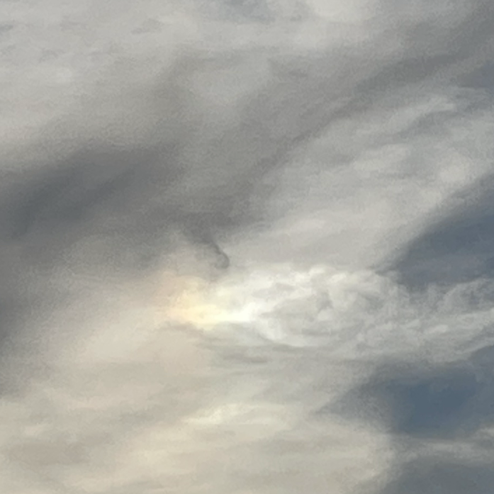 彩雲とヌートリア