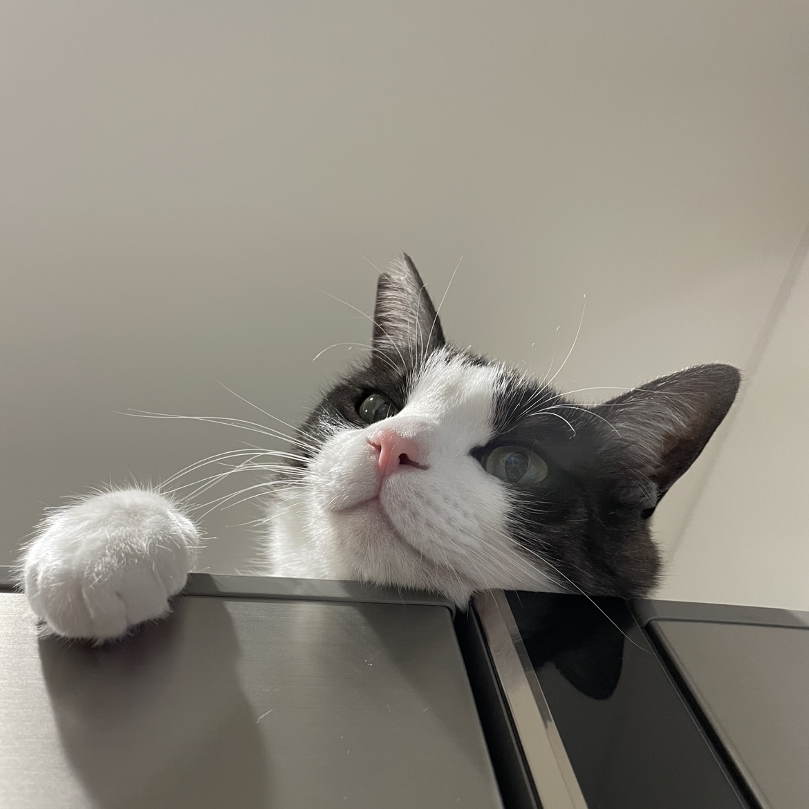 ここは何処でしょう