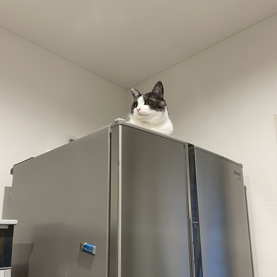 ここは何処でしょう