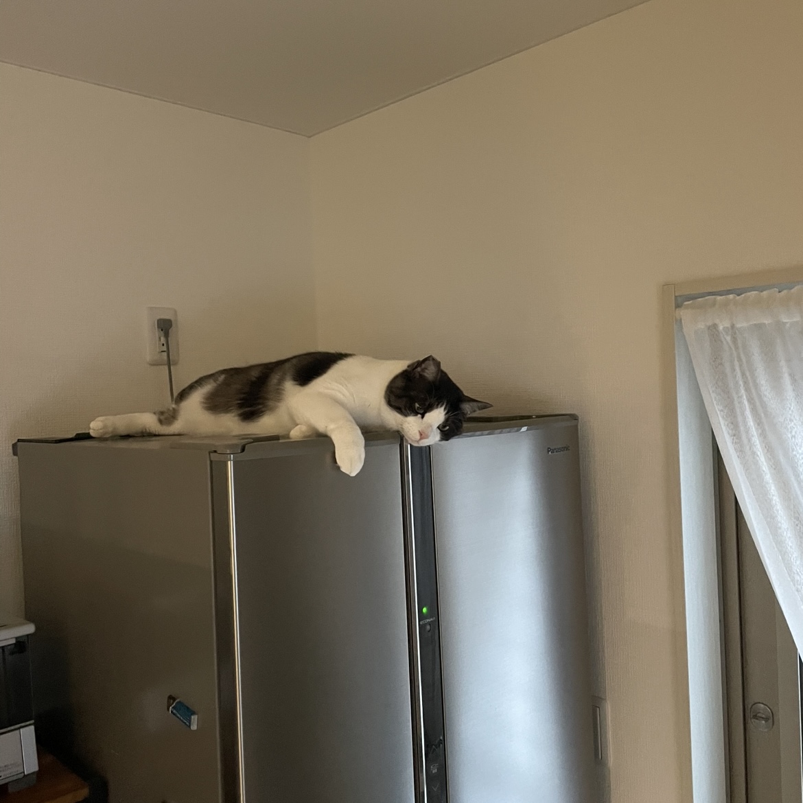 ここは何処でしょう