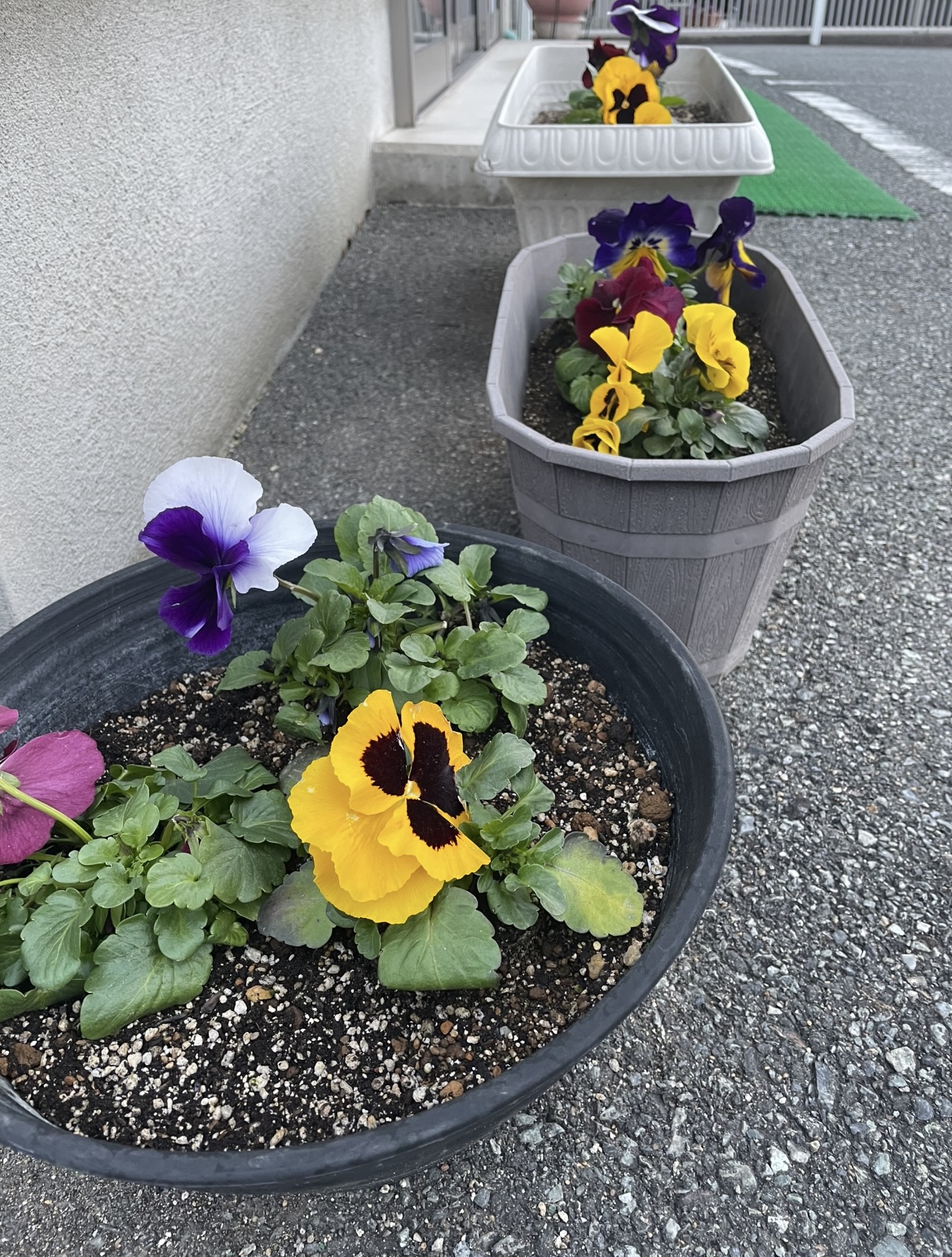 もう降らない…はず。