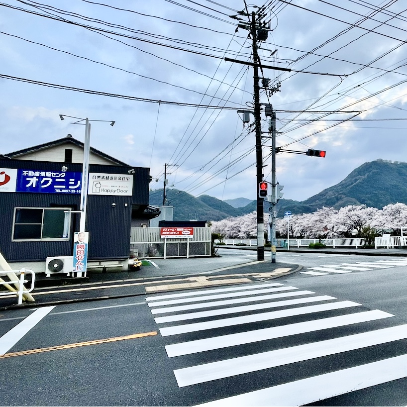 オクニシ不動産とサクラ