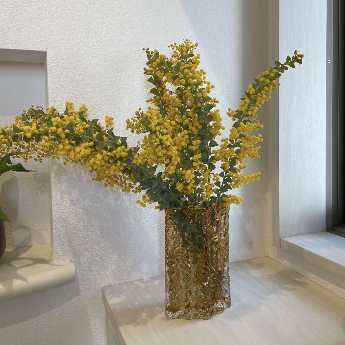 挿し木にできる