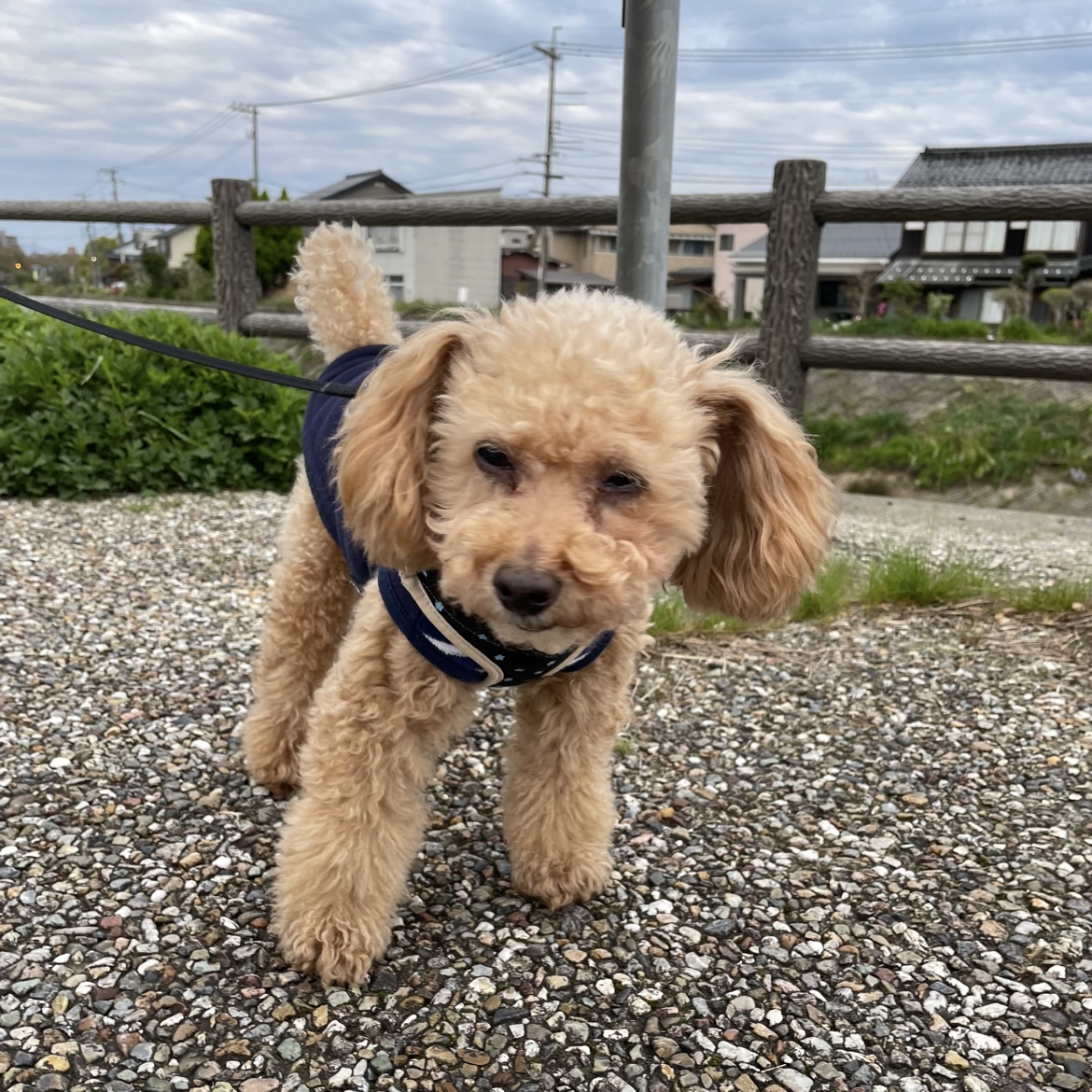 お久方ぶりのコタロウ氏