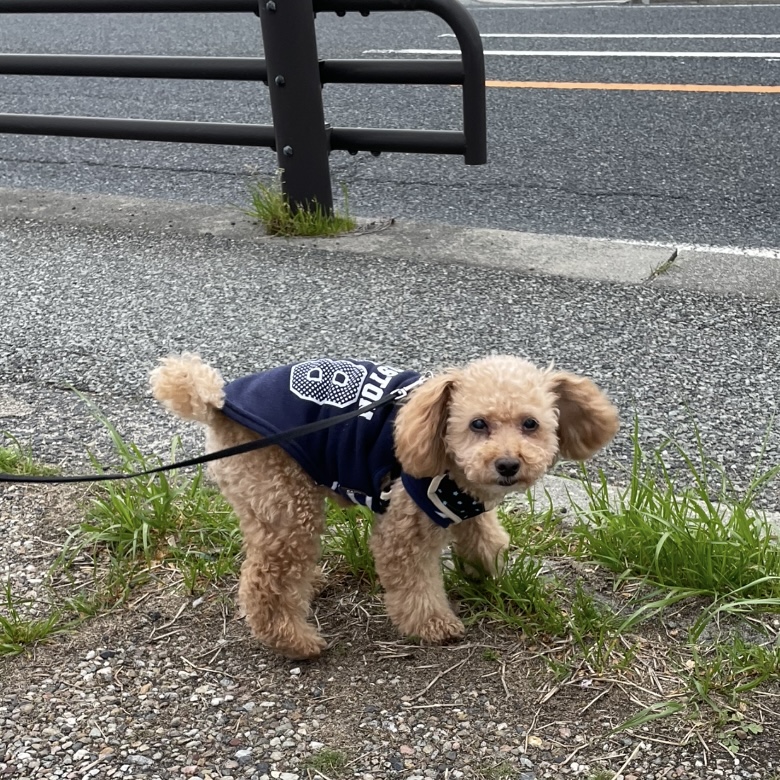 お久方ぶりのコタロウ氏