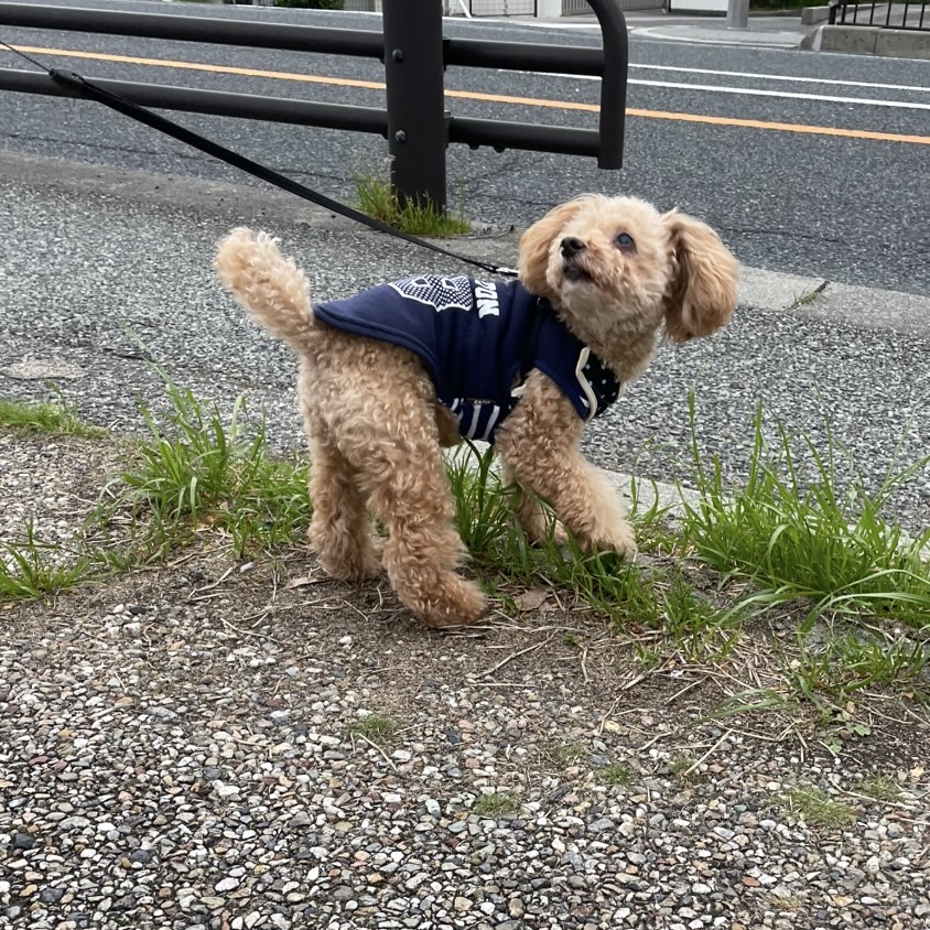 お久方ぶりのコタロウ氏