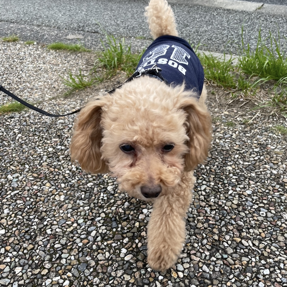 お久方ぶりのコタロウ氏