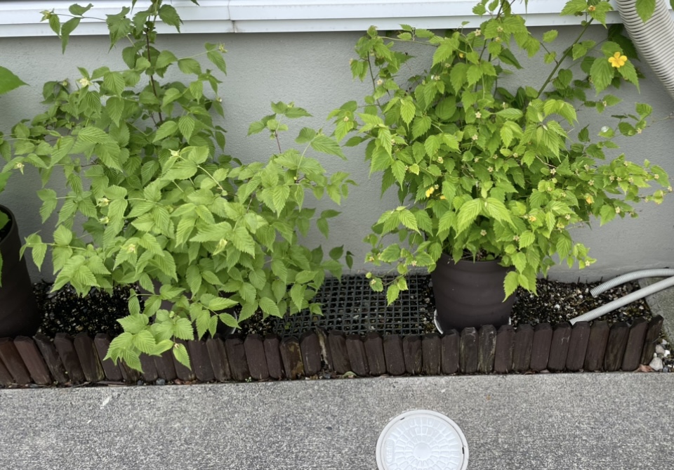癒されてます