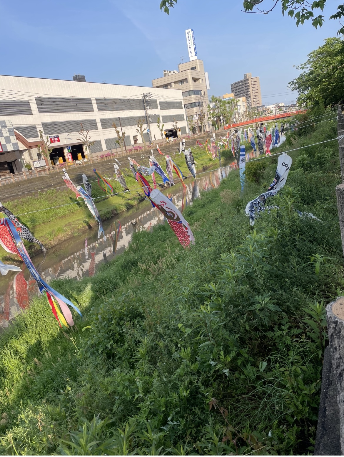 通常営業です