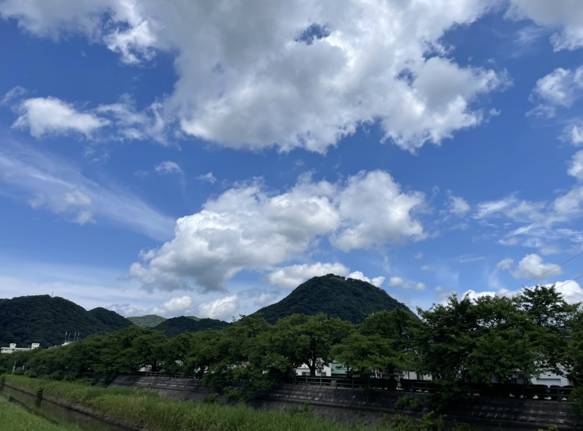 蒸す…